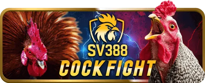 Chương trình khuyến mãi VIP của Blue88